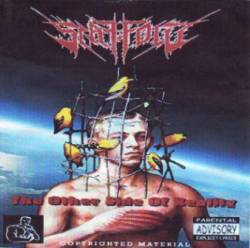 Scaffold (SRB) : The Other Side of Reality